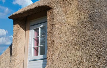 Cargreen thatch roof disadvantages